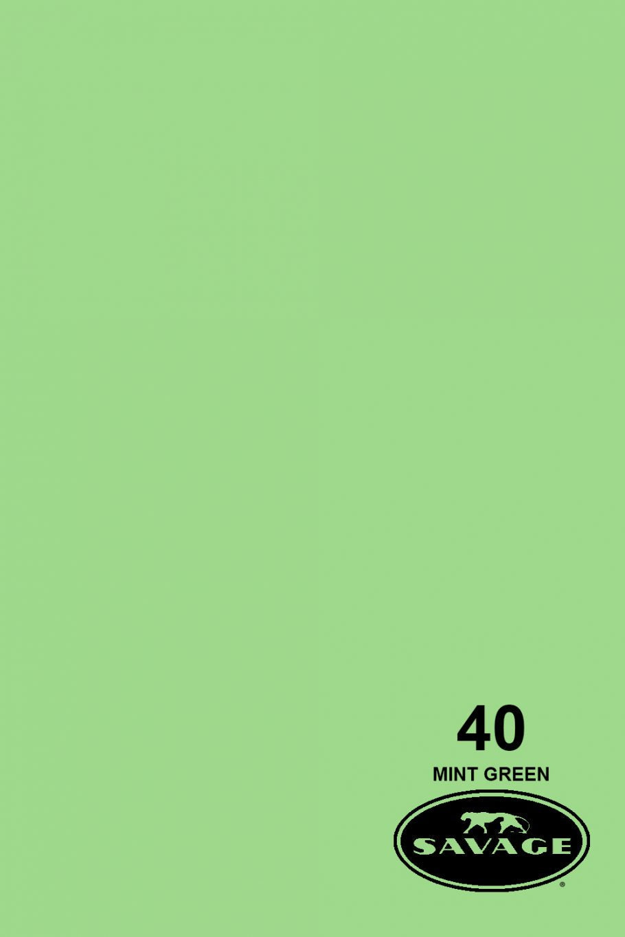 Savage Widetone Seamless Background Paper, 107" x 36'