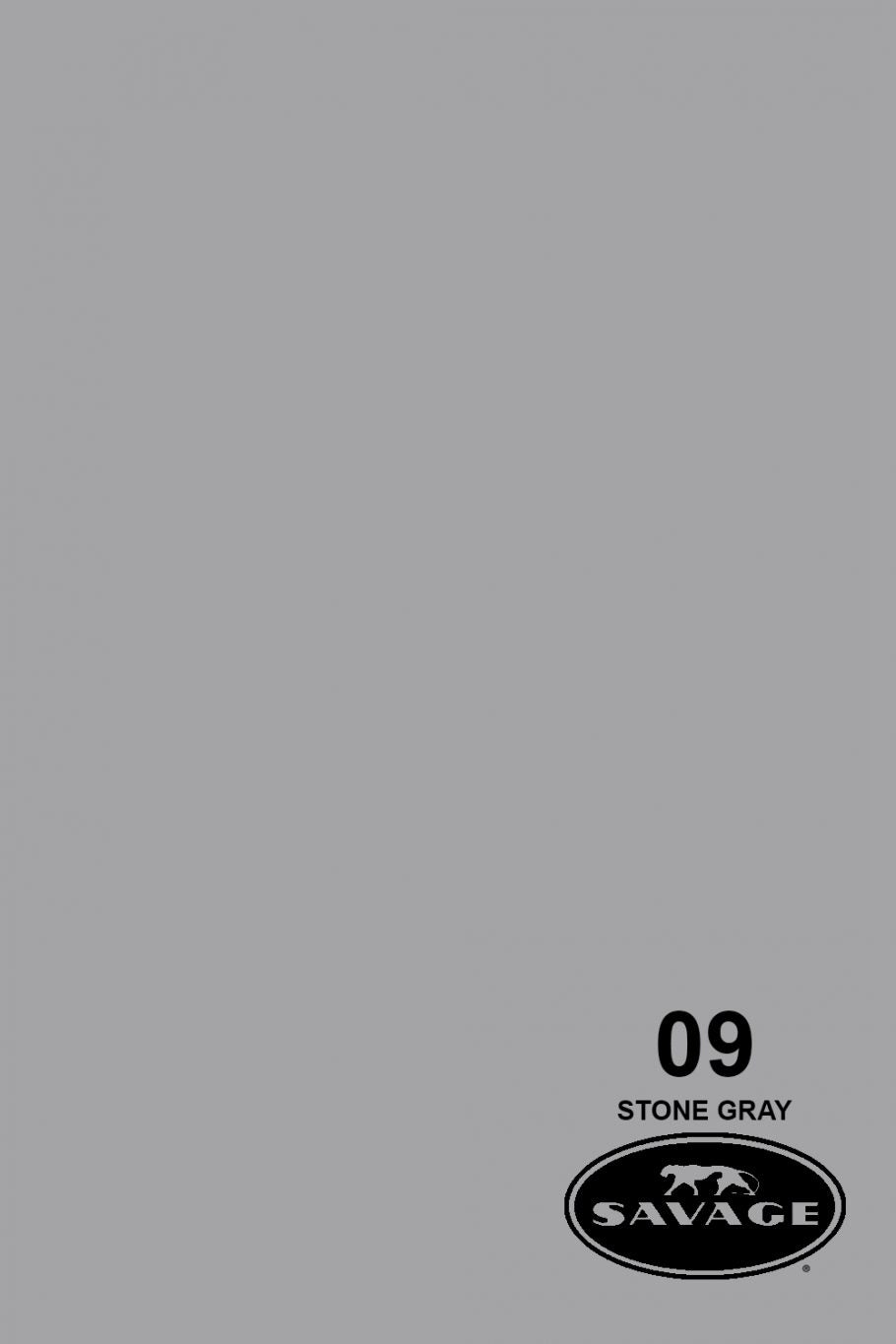Savage Seamless Paper 107"X36' STONE (Gray)