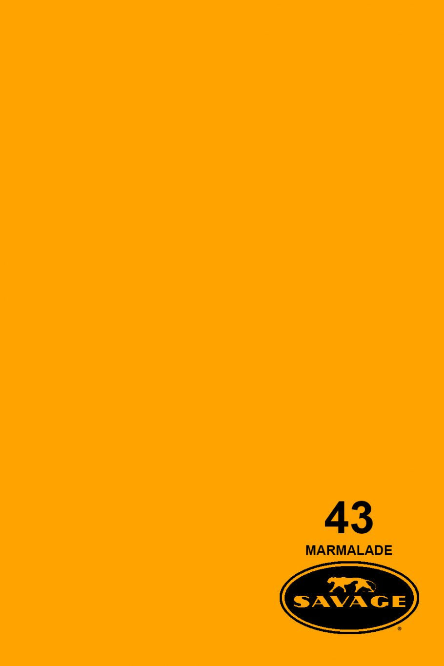 Savage Widetone Seamless Background Paper, 107" x 36'