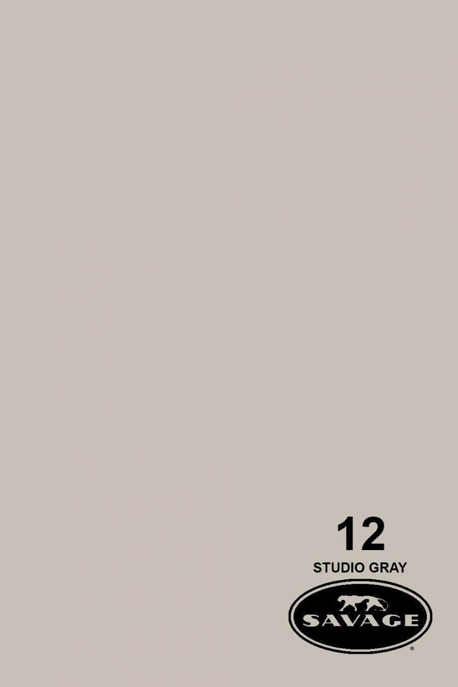 Savage Widetone Seamless Background Paper, 107" x 36'