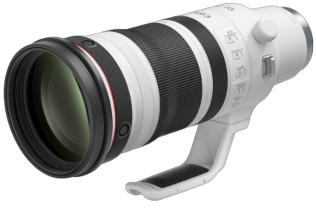Canon RF 100-300mm f/2.8 L IS USM Lens