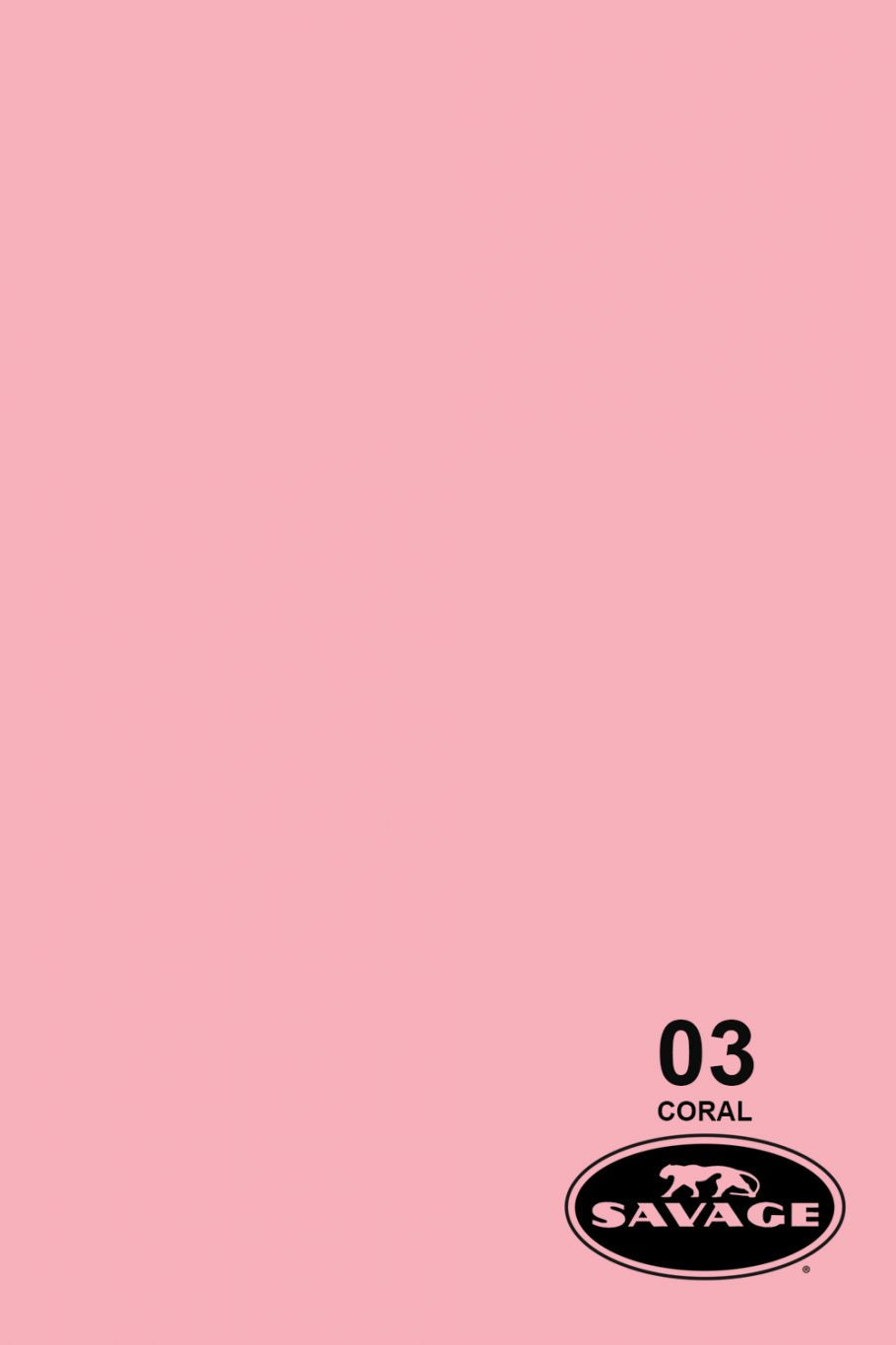 Savage Widetone Seamless Background Paper, 107" x 36'