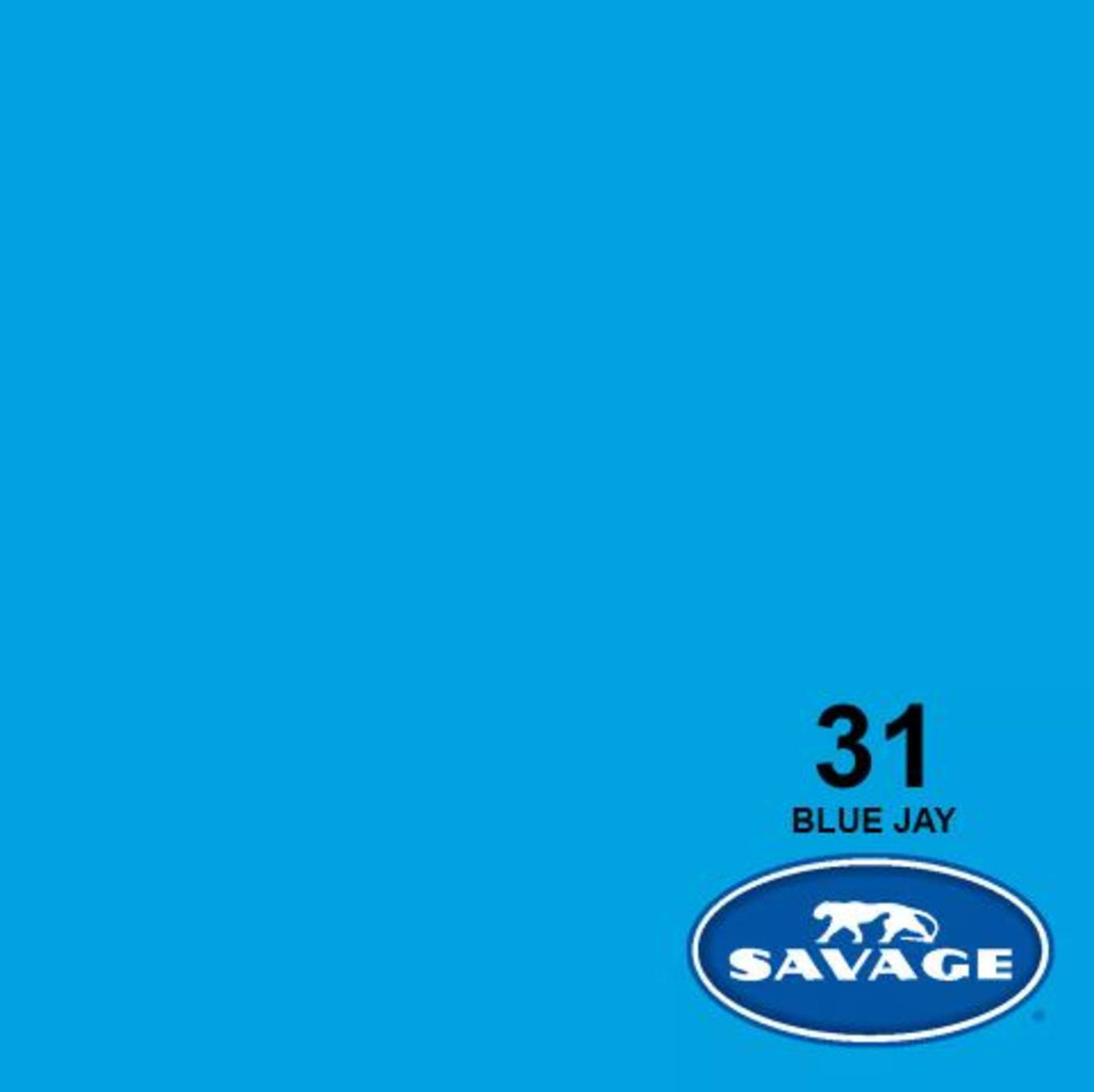Savage Seamless Paper  86"X36' BLUE JAY