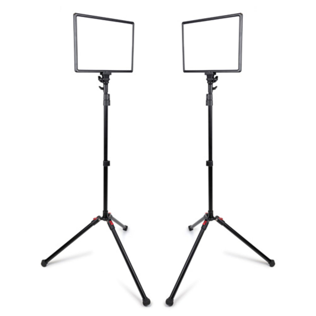 Promaster Ultrasoft US1014B 2-Light Transport Kit - Bi-Color 10 x 14