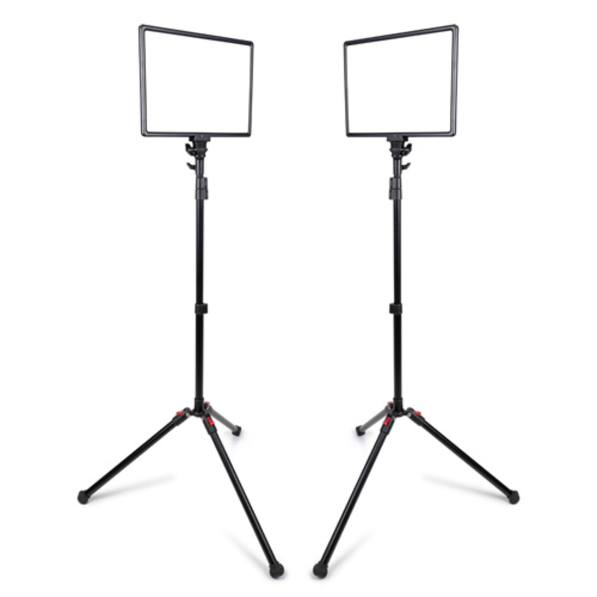 Promaster Ultrasoft US1014B 2-Light Transport Kit - Bi-Color 10 x 14