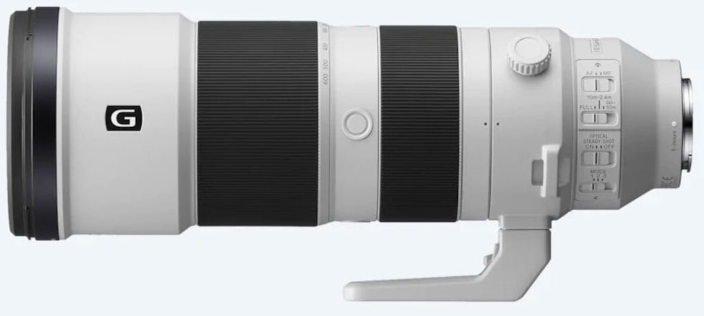Sony FE 200-600mm f/5.6-6.3 G OSS Lens