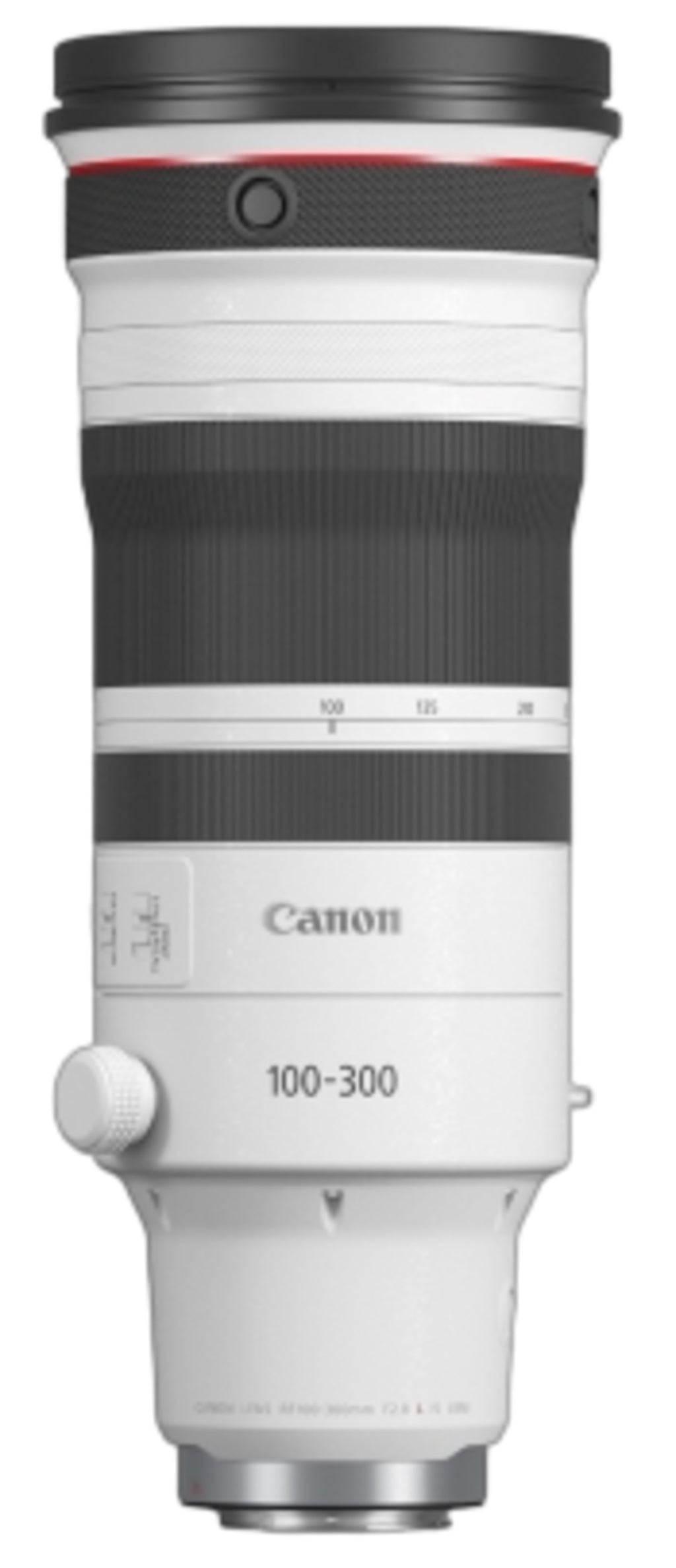 Canon RF 100-300mm f/2.8 L IS USM Lens