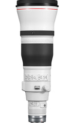 Canon RF 600mm f/4 L IS Lens