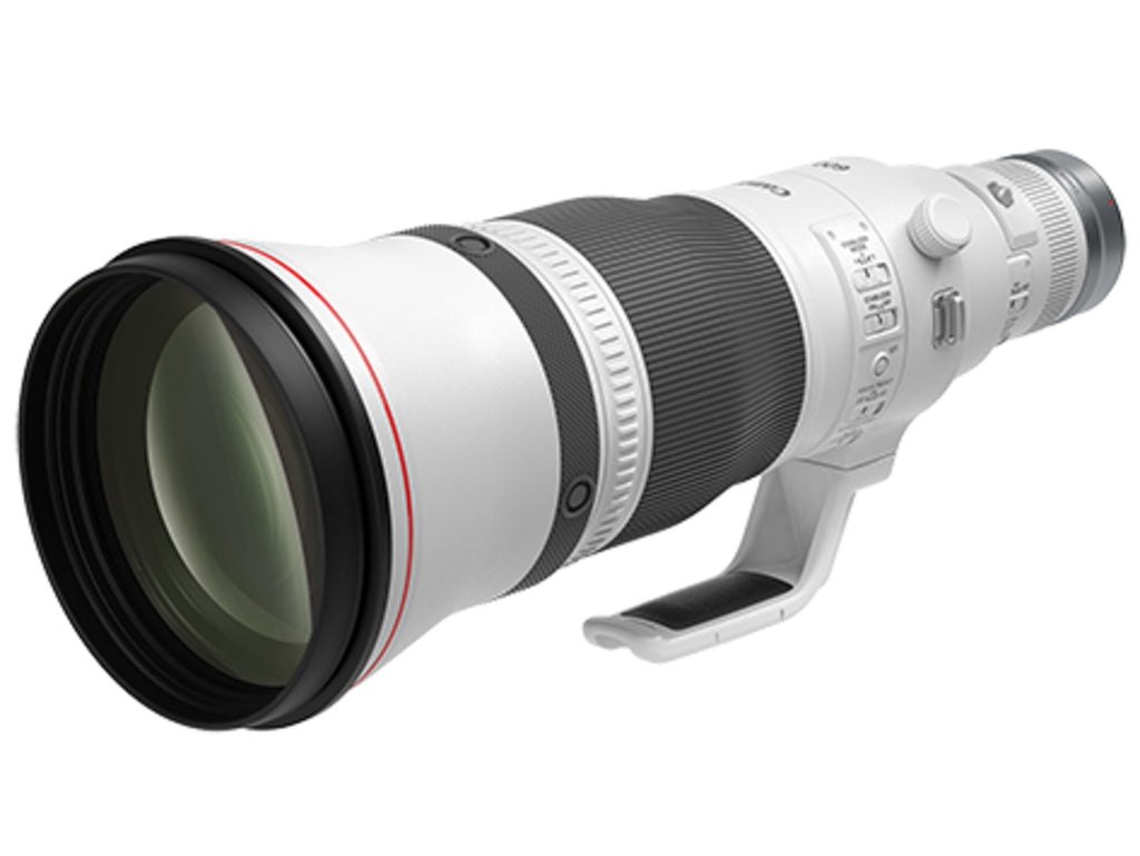 Canon RF 600mm f/4 L IS Lens
