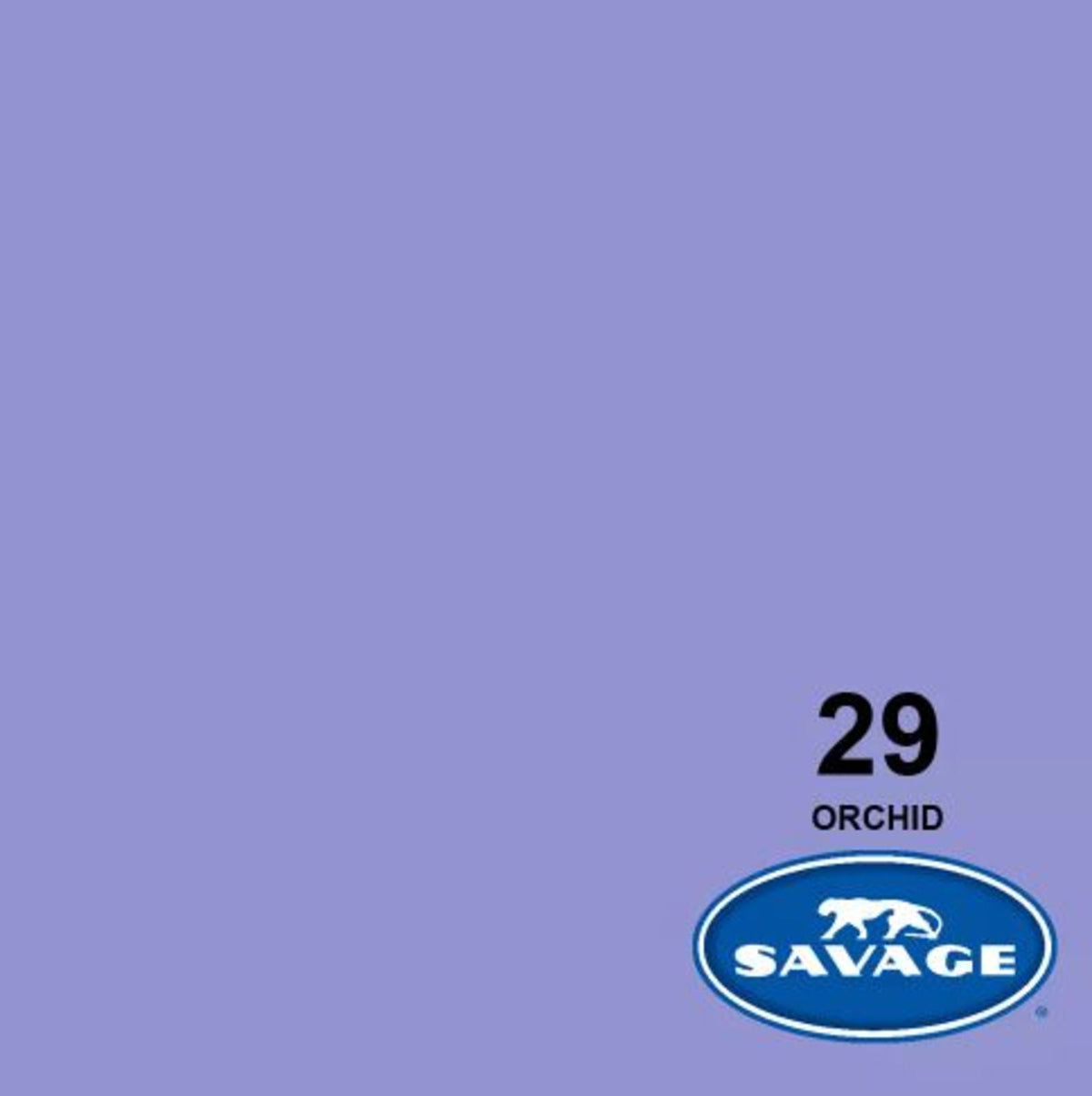 Savage Widetone Seamless Background Paper, 86" x 36'