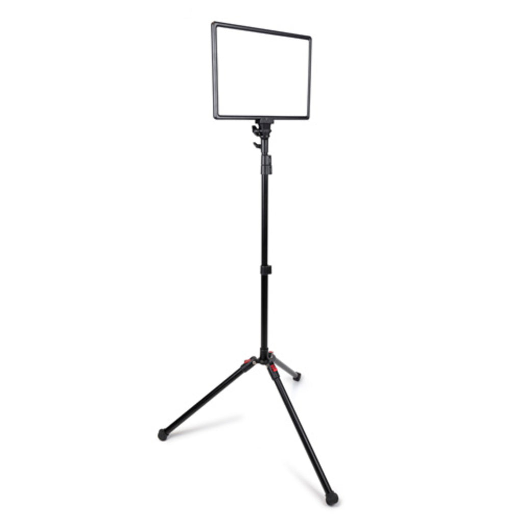 Promaster Ultrasoft US1014B 2-Light Transport Kit - Bi-Color 10 x 14