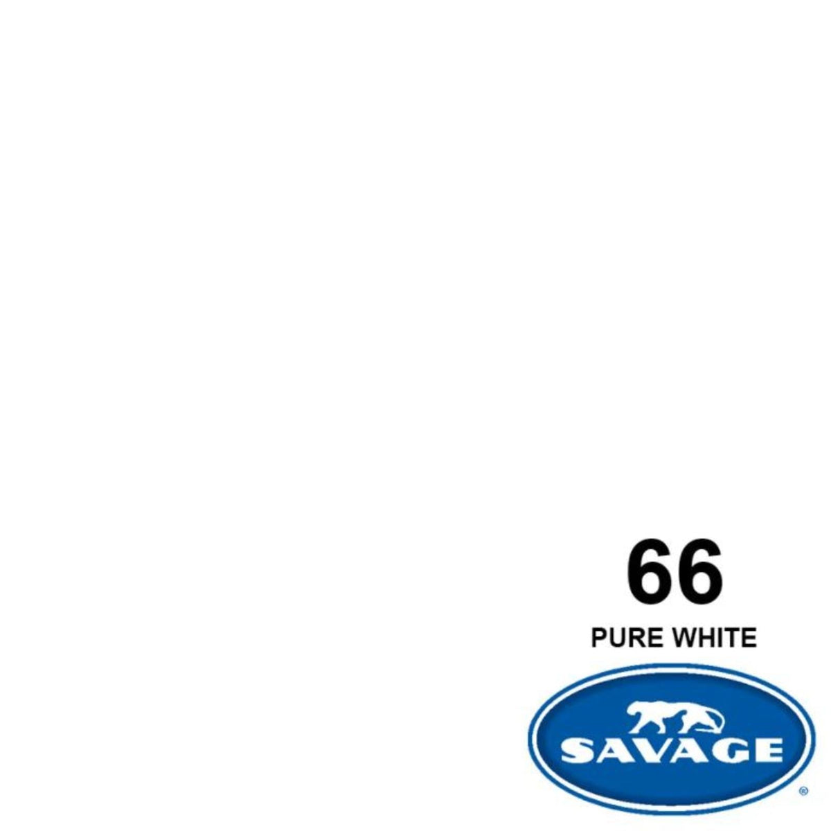Savage Widetone Seamless Background Paper, 86" x 36'