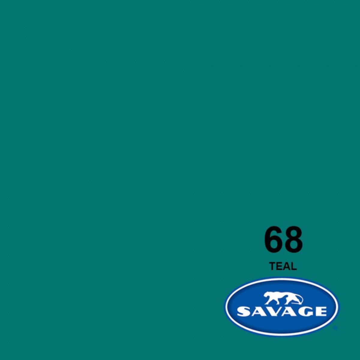 Savage Widetone Seamless Background Paper, 107" x 36'