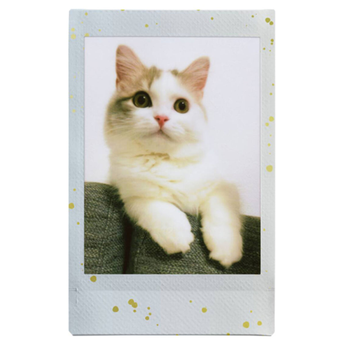 Fujifilm Instax Mini Instant Film (10 Exposures)