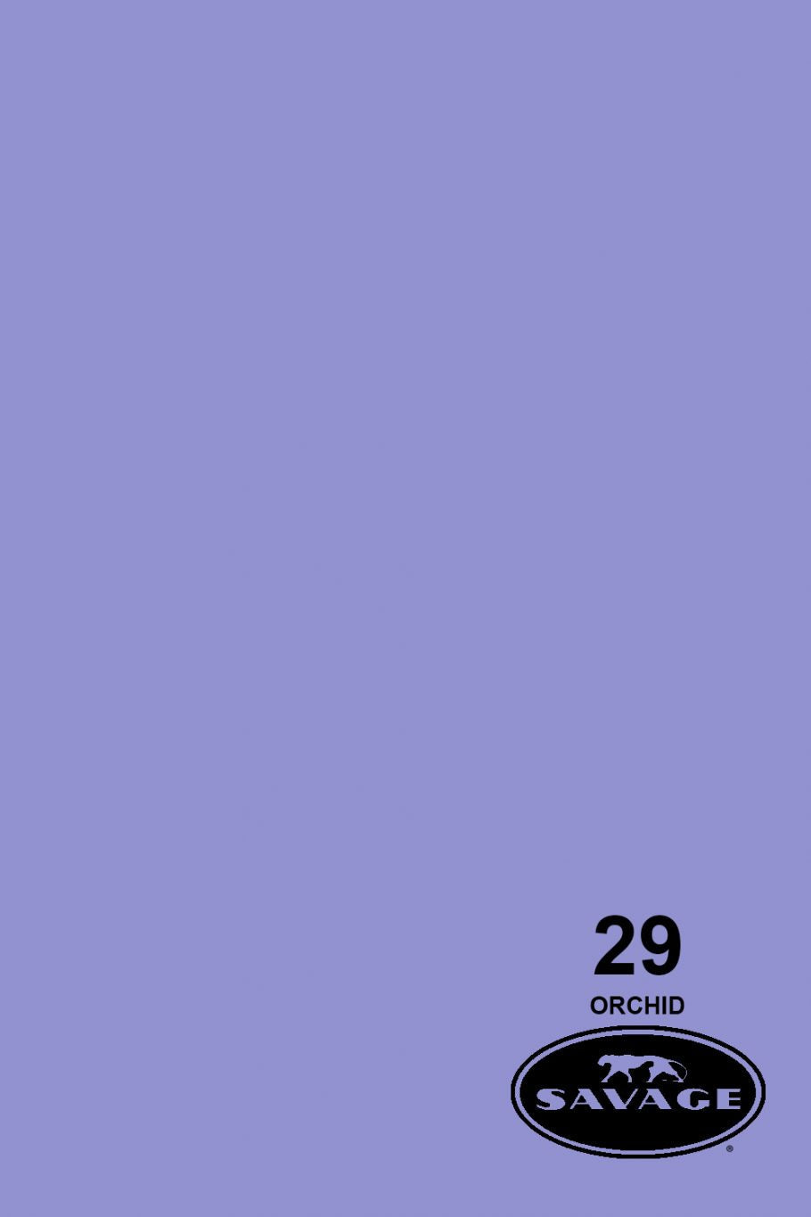 Savage Widetone Seamless Background Paper, 107" x 36'