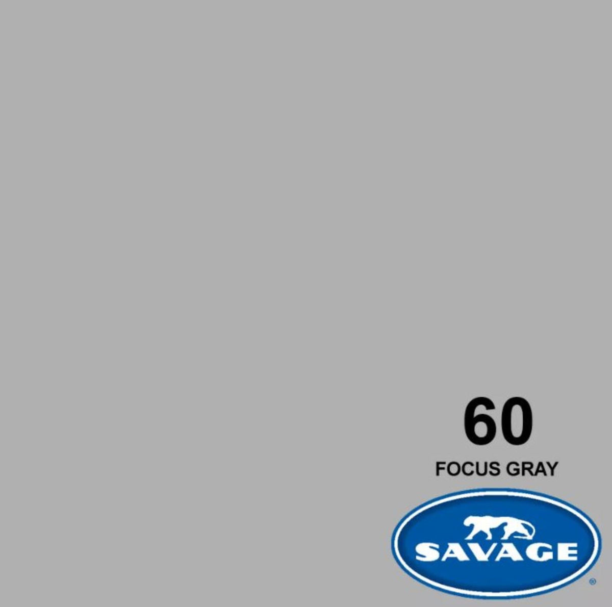 Savage Widetone Seamless Background Paper, 86" x 36'