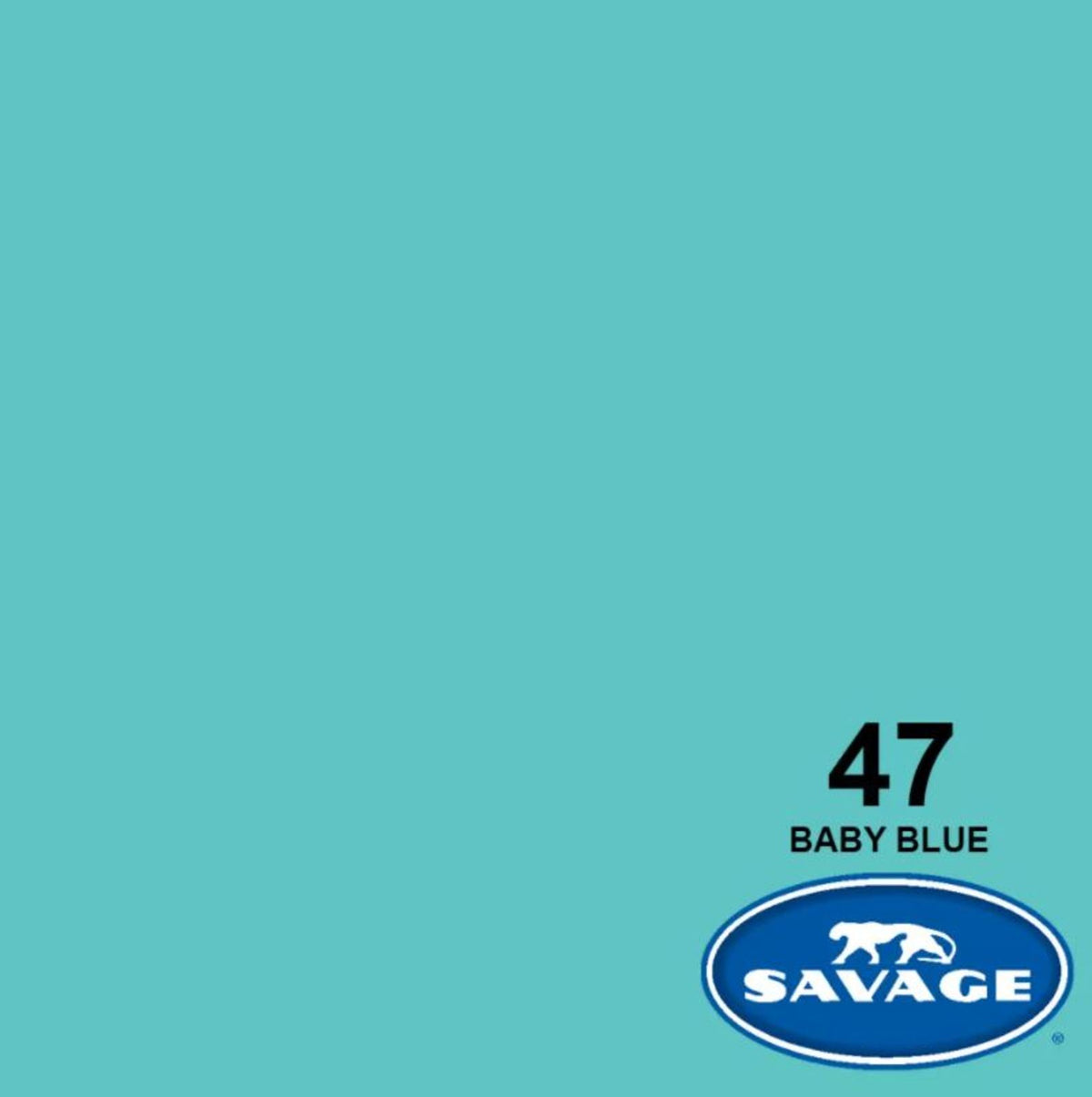 Savage Seamless Paper 86"X36' BABY BLUE