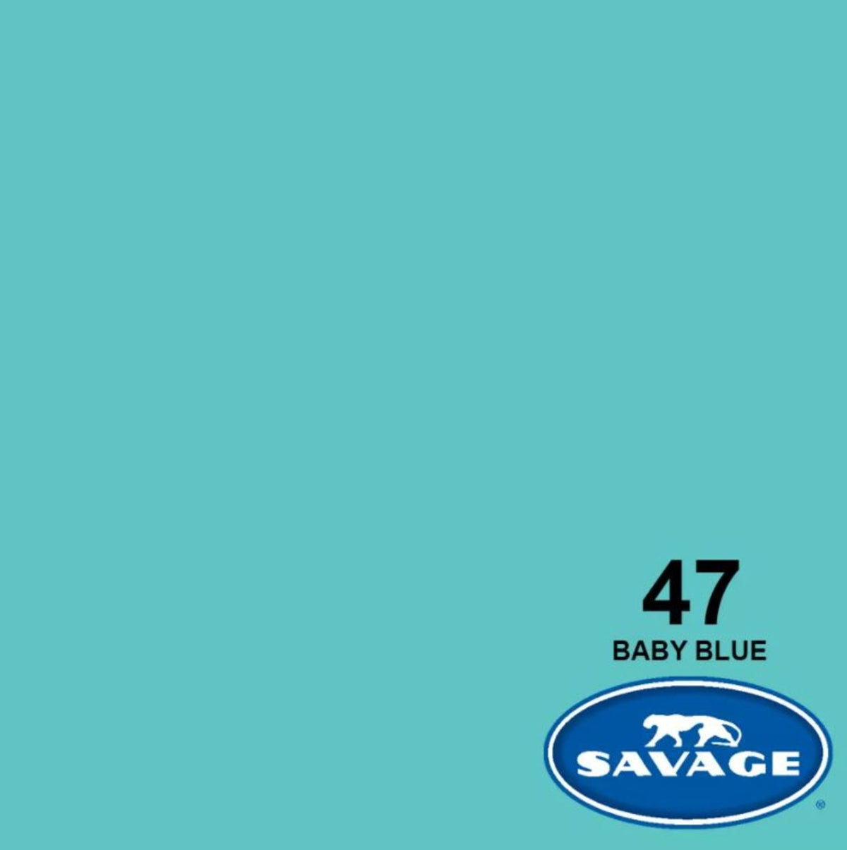 Savage Widetone Seamless Background Paper, 86" x 36'
