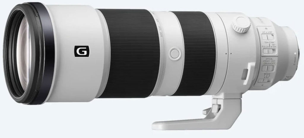 Sony FE 200-600mm f/5.6-6.3 G OSS Lens