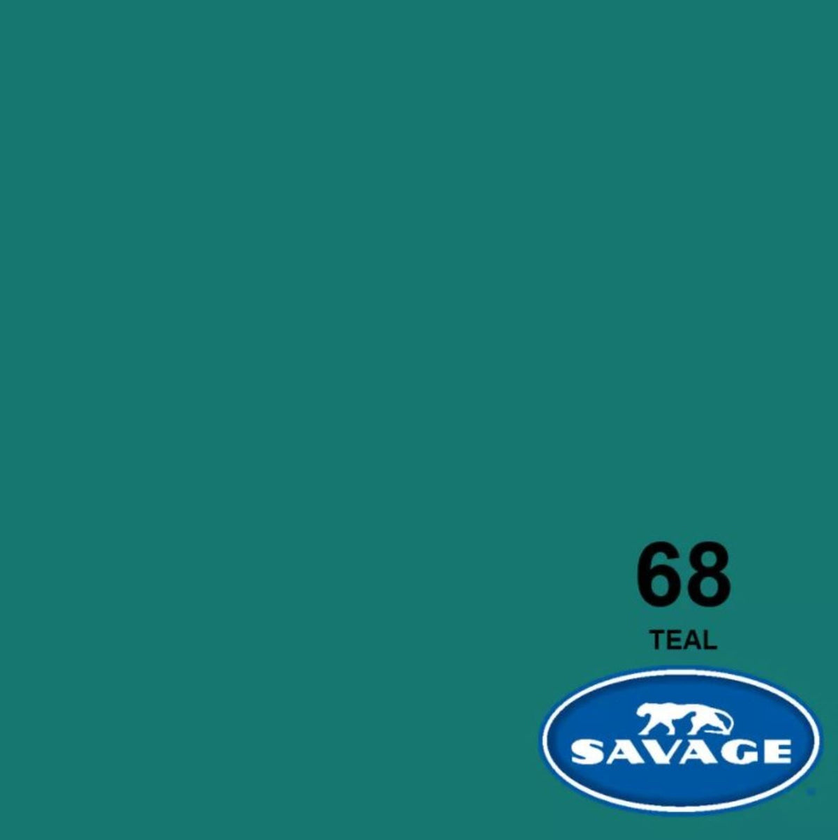 Savage Widetone Seamless Background Paper, 86" x 36'