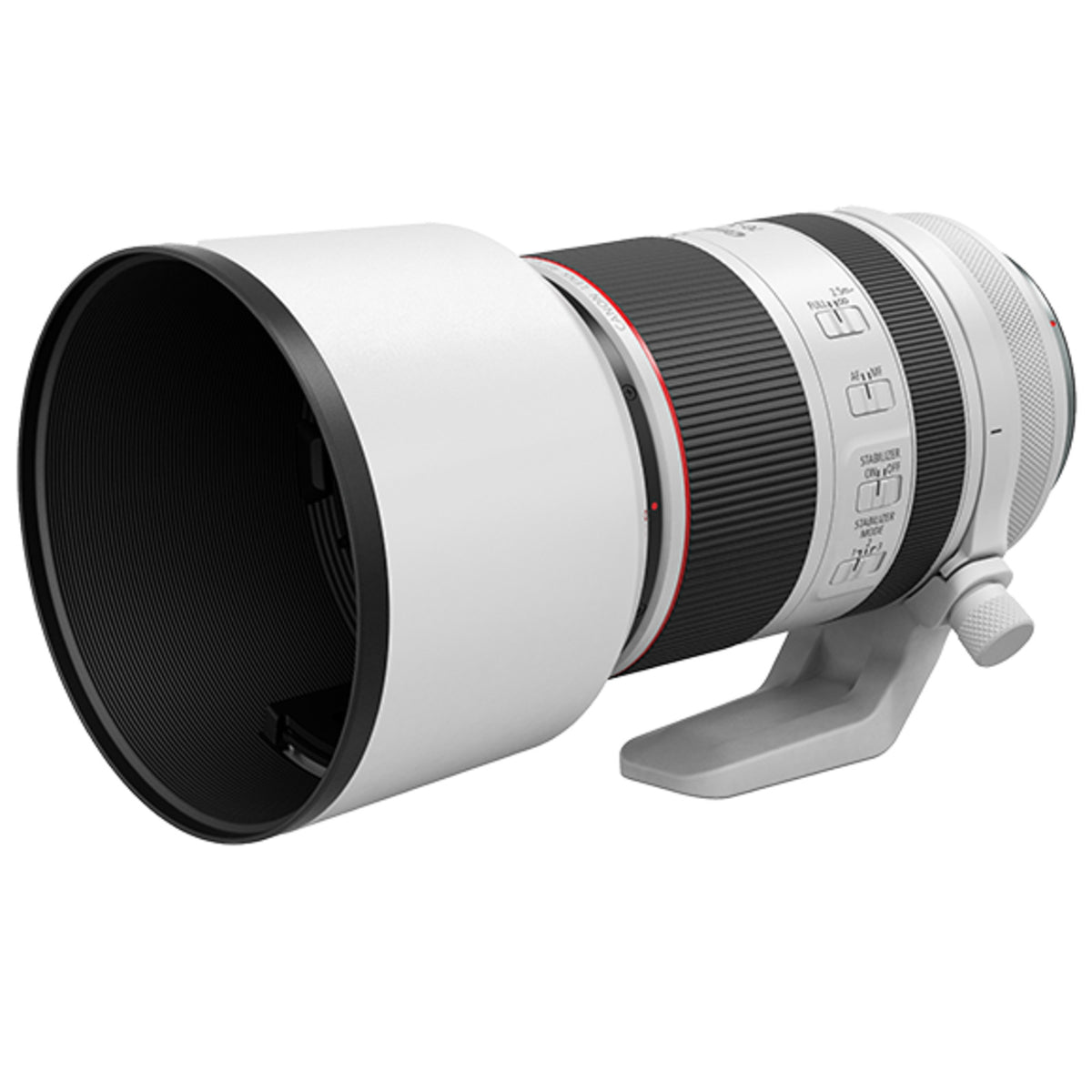Canon RF 70-200mm f/2.8 L IS USM Lens