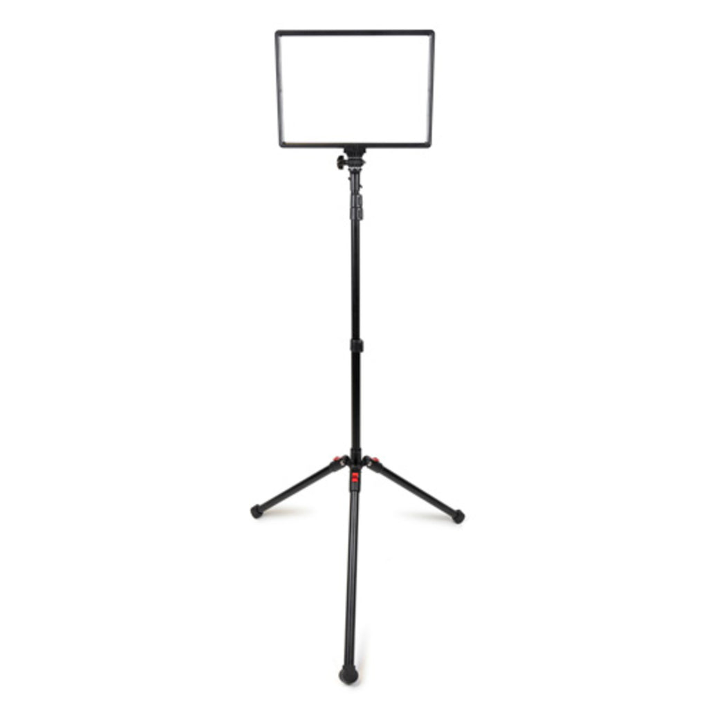 Promaster Ultrasoft US1014B 2-Light Transport Kit - Bi-Color 10 x 14