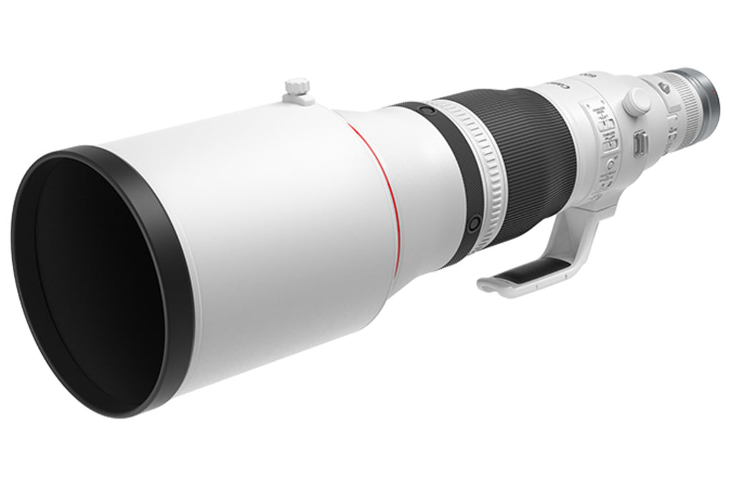 Canon RF 600mm f/4 L IS Lens