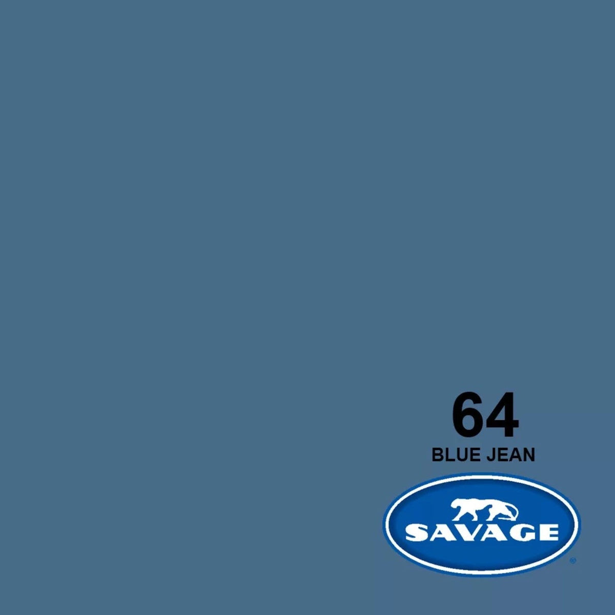 Savage Widetone Seamless Background Paper, 107" x 36'