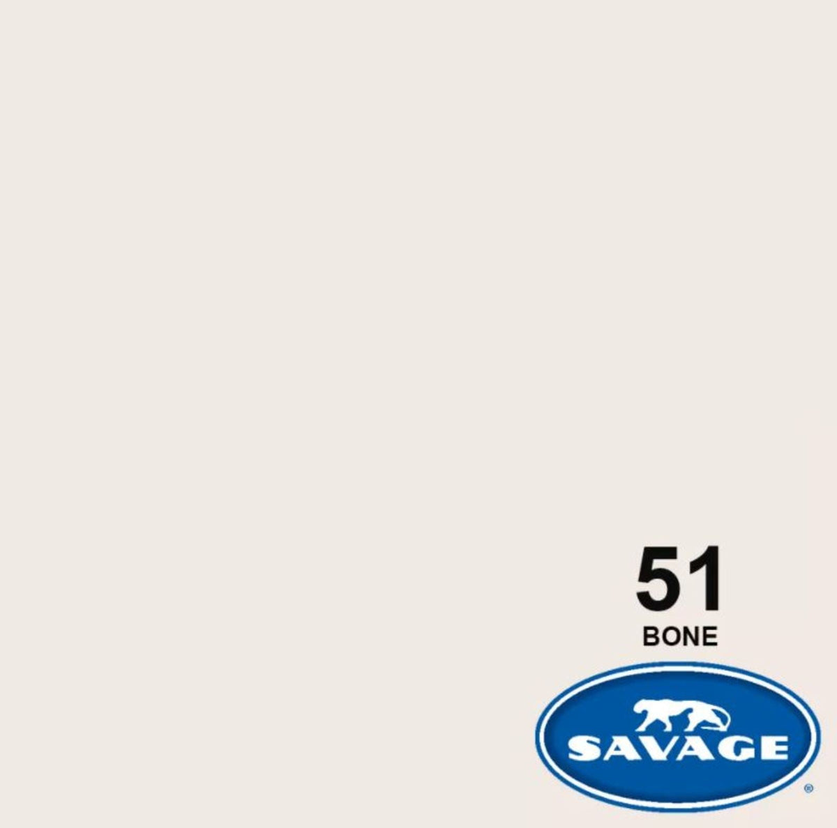 Savage Widetone Seamless Background Paper, 86" x 36'