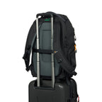 Lowepro Fastpack BP 250 AW IV